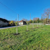 Náhradná výsadba stromov v intraviláne obce Rochovce na pozemku KSK